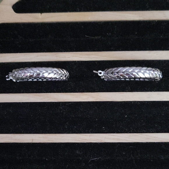 NWT Stainless Steele Braided Hoop Earrings - Picture 1 of 3